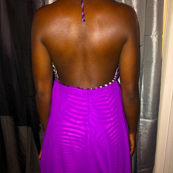 Zebra Print Sheer Top & Shorts - Picture 2 of 4